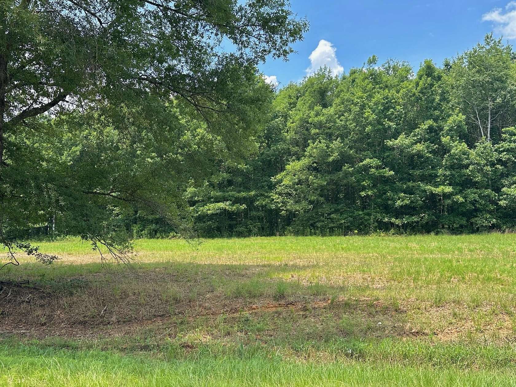 5.5 Acres of Residential Land for Sale in Waynesboro, Georgia