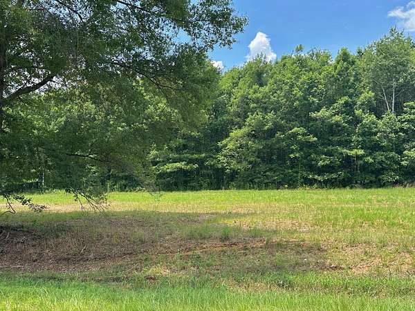 5.5 Acres of Residential Land for Sale in Waynesboro, Georgia