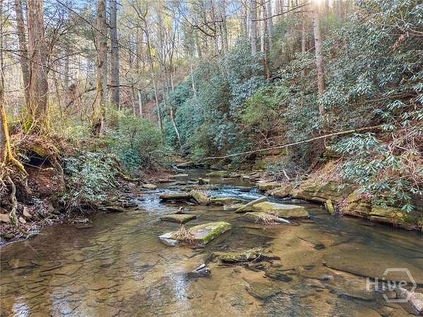 96 Acres of Recreational & Residential Land for Sale in Clarkesville, Georgia