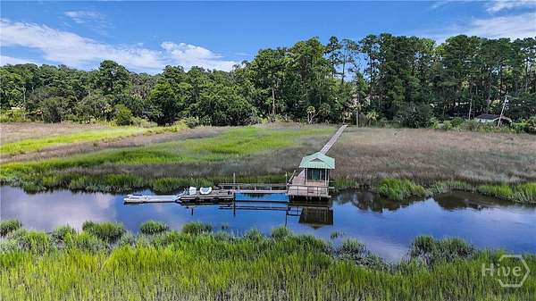 3 Acres of Residential Land with Home for Sale in Savannah, Georgia