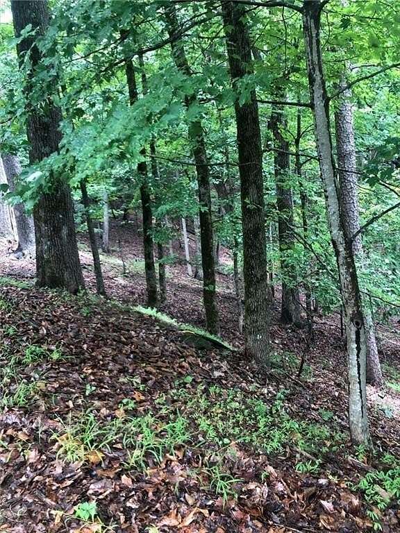 0.78 Acres of Residential Land for Sale in Jasper, Georgia