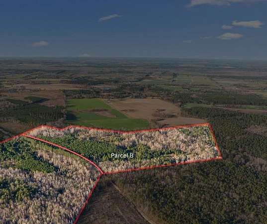 92 Acres of Recreational Land for Sale in Millen, Georgia