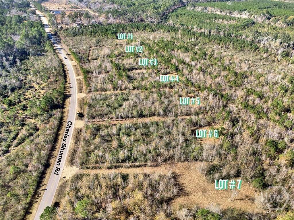 4.34 Acres of Residential Land for Sale in Pembroke, Georgia