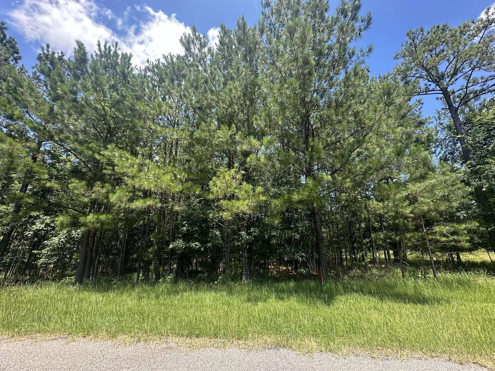 0.61 Acres of Residential Land for Sale in Tignall, Georgia