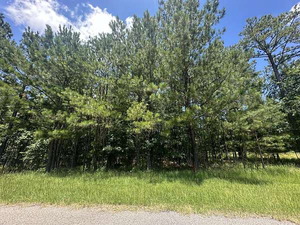 0.61 Acres of Residential Land for Sale in Tignall, Georgia