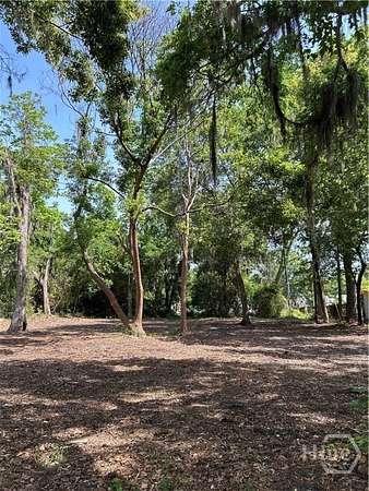 0.11 Acres of Residential Land for Sale in Savannah, Georgia