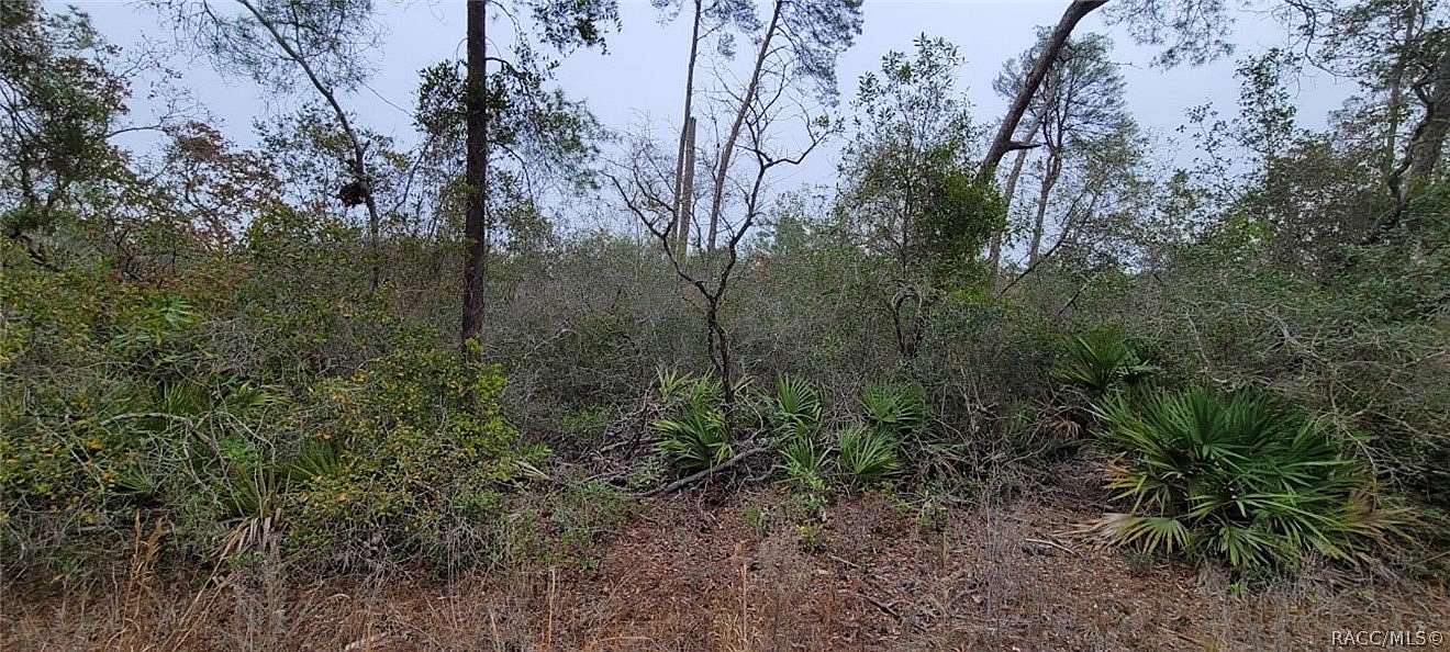 2.57 Acres of Residential Land for Sale in Dunnellon, Florida