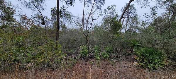 2.57 Acres of Residential Land for Sale in Dunnellon, Florida