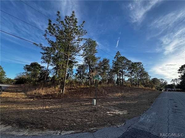 1 Acre of Residential Land for Sale in Beverly Hills, Florida