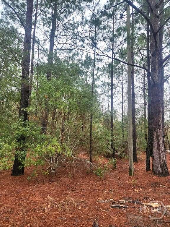 1 Acre of Land for Sale in Pembroke, Georgia