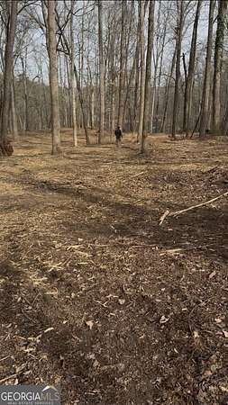 5 Acres of Residential Land for Sale in Gainesville, Georgia