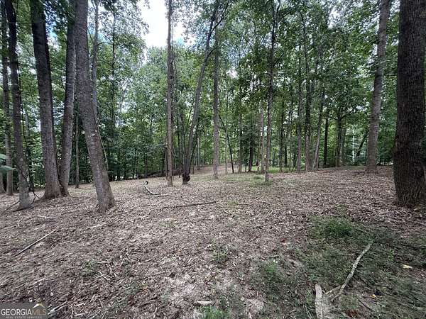 5 Acres of Residential Land for Sale in Gainesville, Georgia