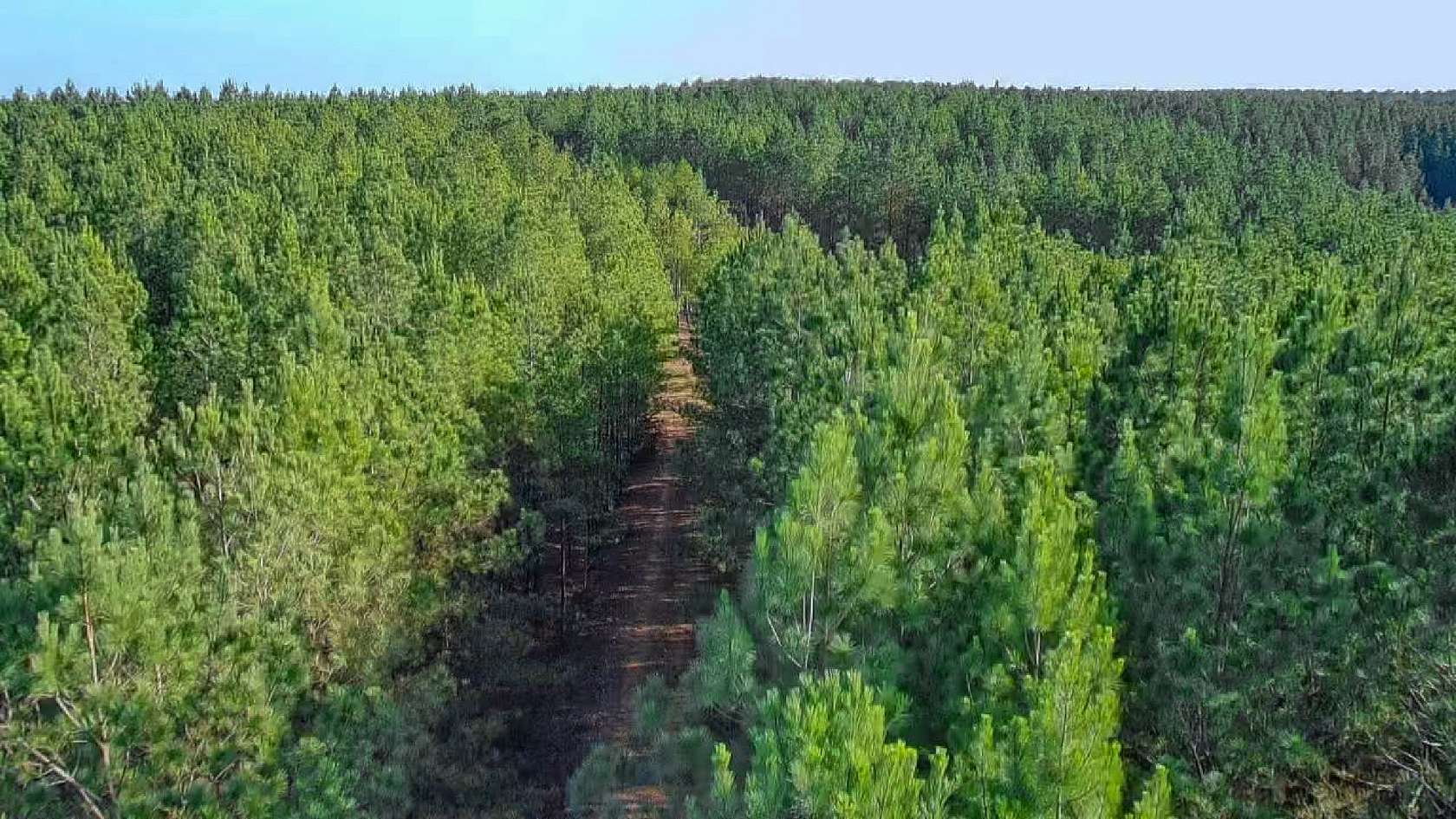 35 Acres of Recreational Land for Sale in Hohenwald, Tennessee