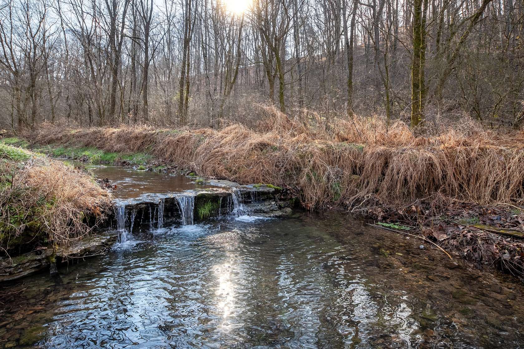 27 Acres of Land for Sale in Cornersville, Tennessee