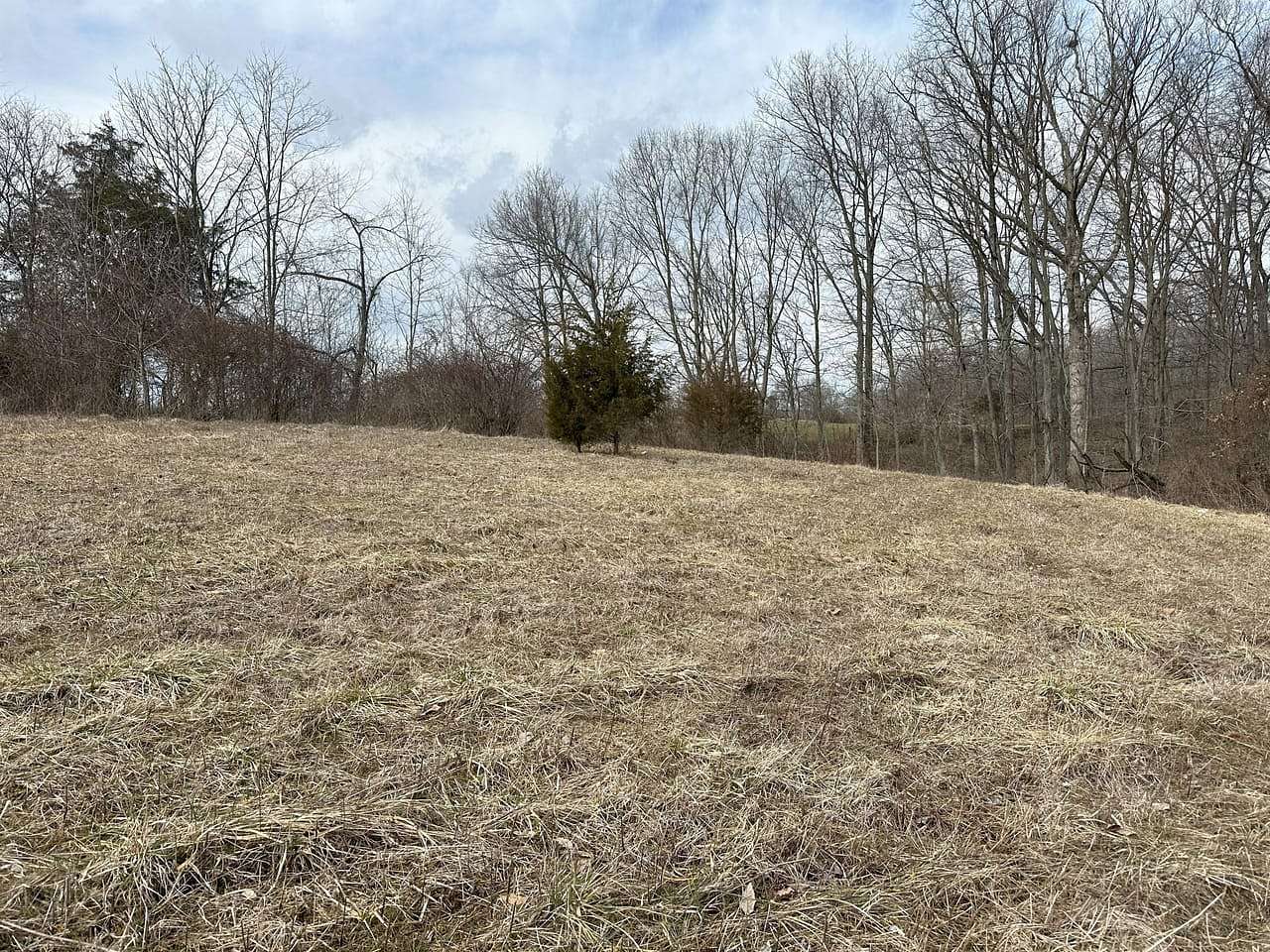 17 Acres of Recreational Land for Sale in Winchester, Ohio
