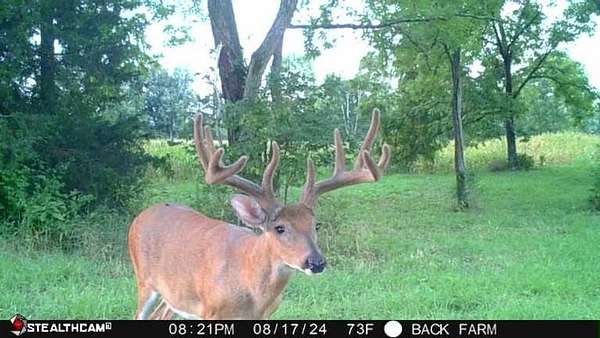 191 Acres of Recreational Land for Sale in Peebles, Ohio