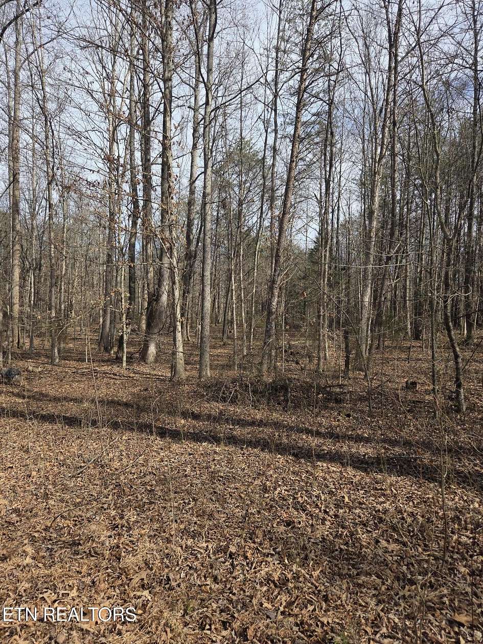 14.8 Acres of Land for Sale in Athens, Tennessee