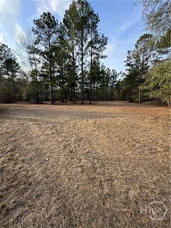 20.4 Acres of Land for Sale in Millen, Georgia