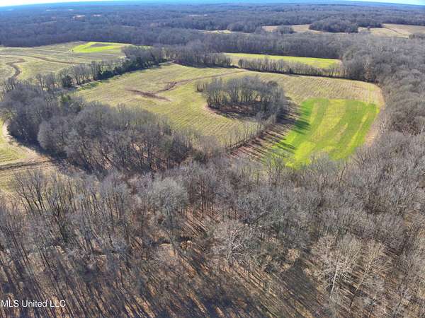 163 Acres of Recreational Land for Sale in Vaughan, Mississippi