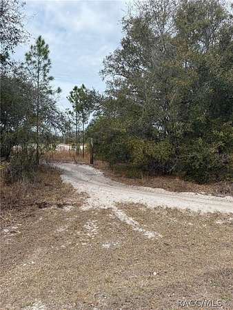 1.3 Acres of Residential Land for Sale in Crystal River, Florida