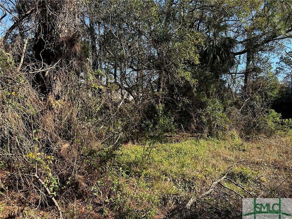 0.2 Acres of Residential Land for Sale in Tybee Island, Georgia