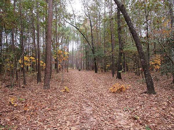 5 Acres of Residential Land for Sale in Keysville, Georgia