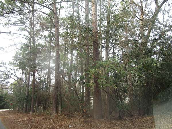 1.1 Acres of Residential Land for Sale in Augusta, Georgia