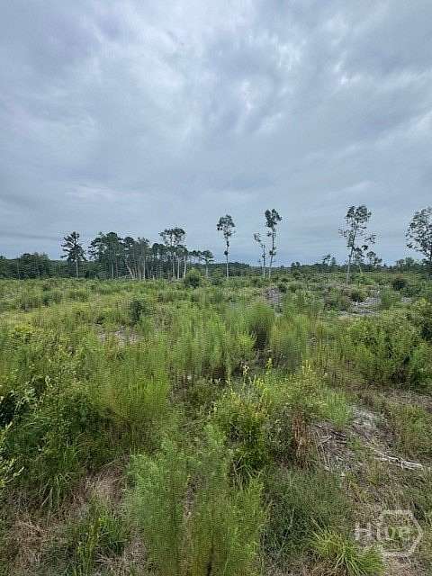 15.9 Acres of Land for Sale in Register, Georgia