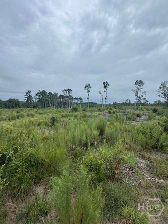 15.9 Acres of Land for Sale in Register, Georgia