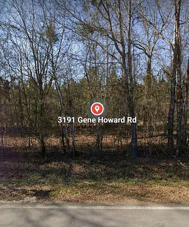 10 Acres of Residential Land for Sale in Stapleton, Georgia