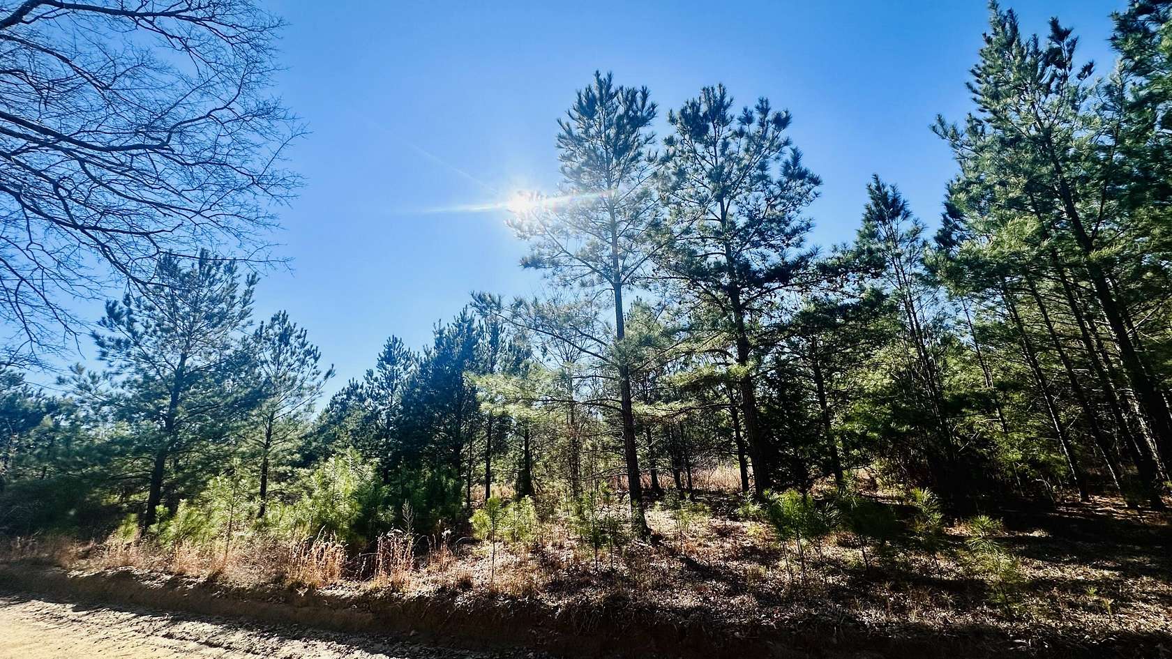 8.3 Acres of Residential Land for Sale in Barnwell, South Carolina