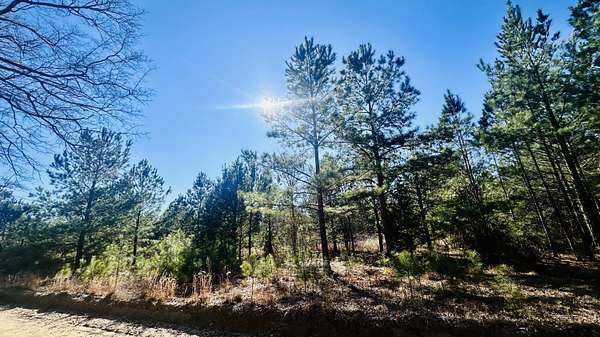 8.3 Acres of Residential Land for Sale in Barnwell, South Carolina