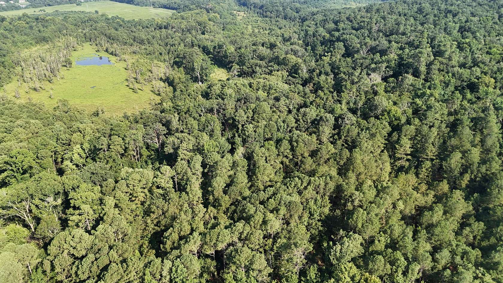 8.26 Acres of Land for Sale in Beech Island, South Carolina