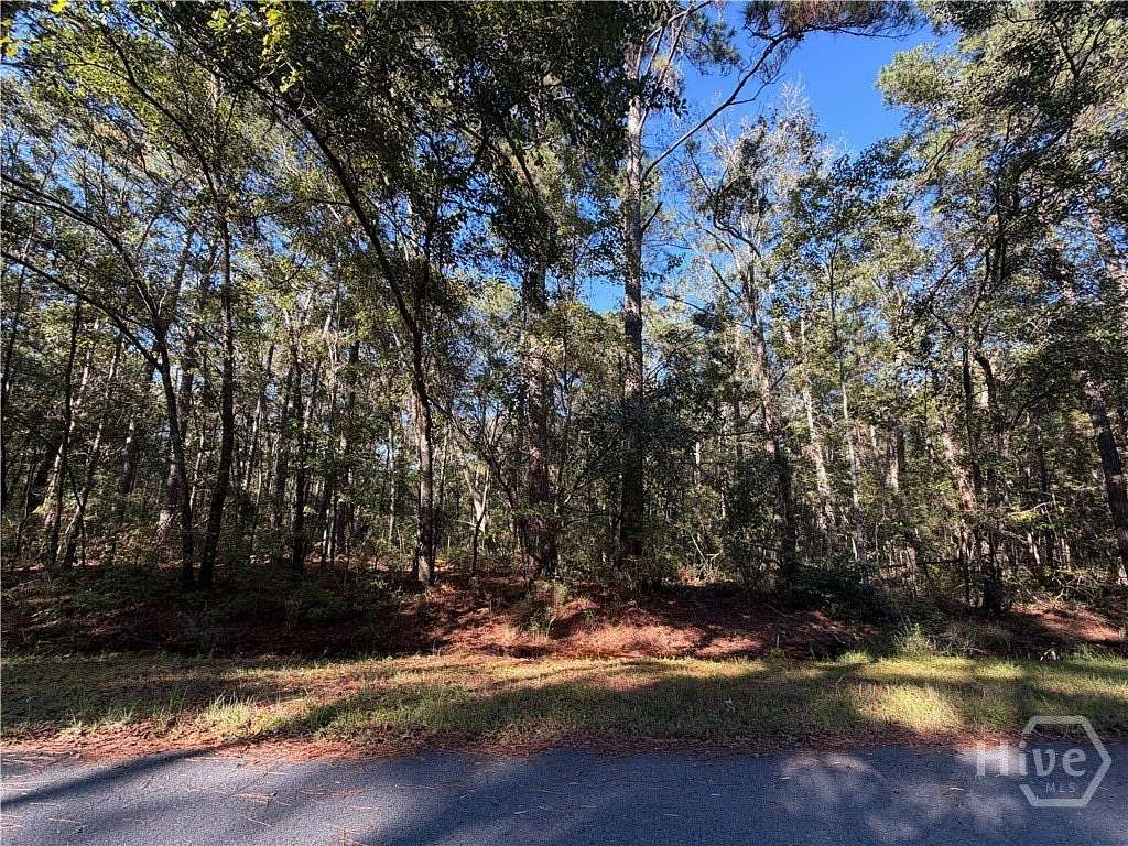 15.4 Acres of Land for Sale in Richmond Hill, Georgia