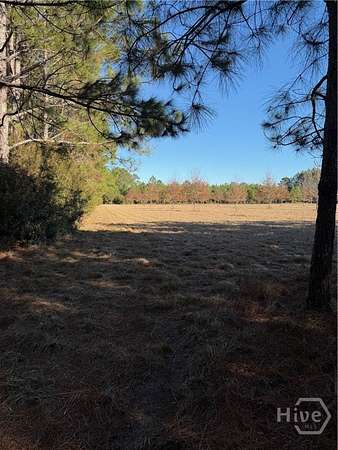 11 Acres of Recreational & Residential Land for Sale in Springfield, Georgia