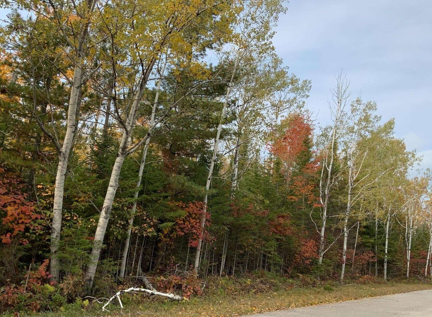 0.31 Acres of Land for Sale in Presque Isle, Michigan
