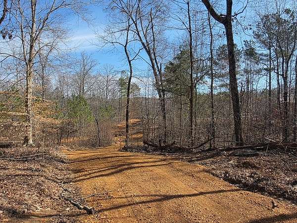 5.22 Acres of Residential Land for Sale in Buchanan, Tennessee