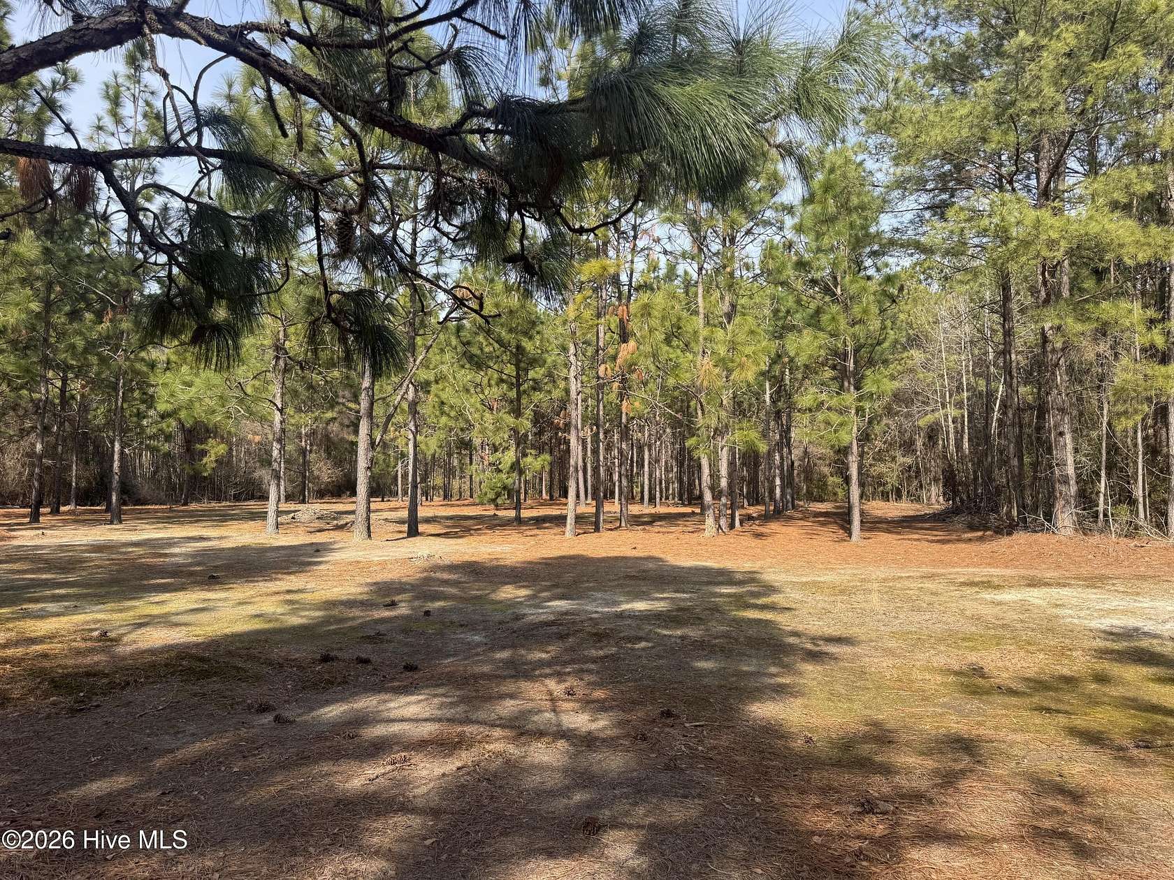 16 Acres of Recreational Land with Home for Sale in Bladenboro, North Carolina