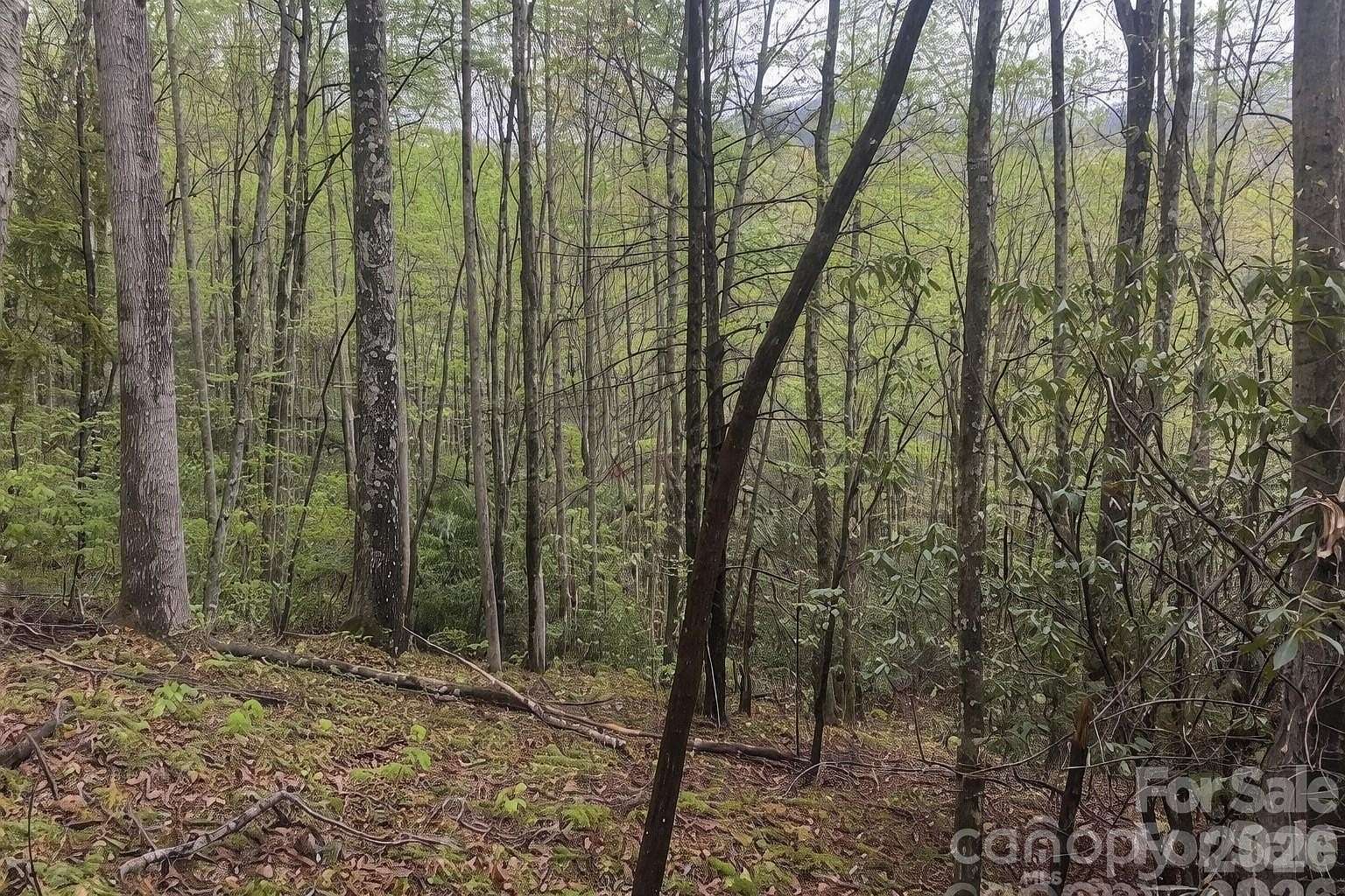 4.45 Acres of Residential Land for Sale in Fairview, North Carolina
