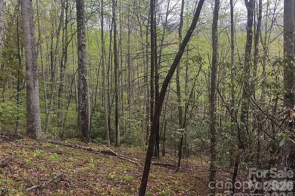 4.45 Acres of Residential Land for Sale in Fairview, North Carolina