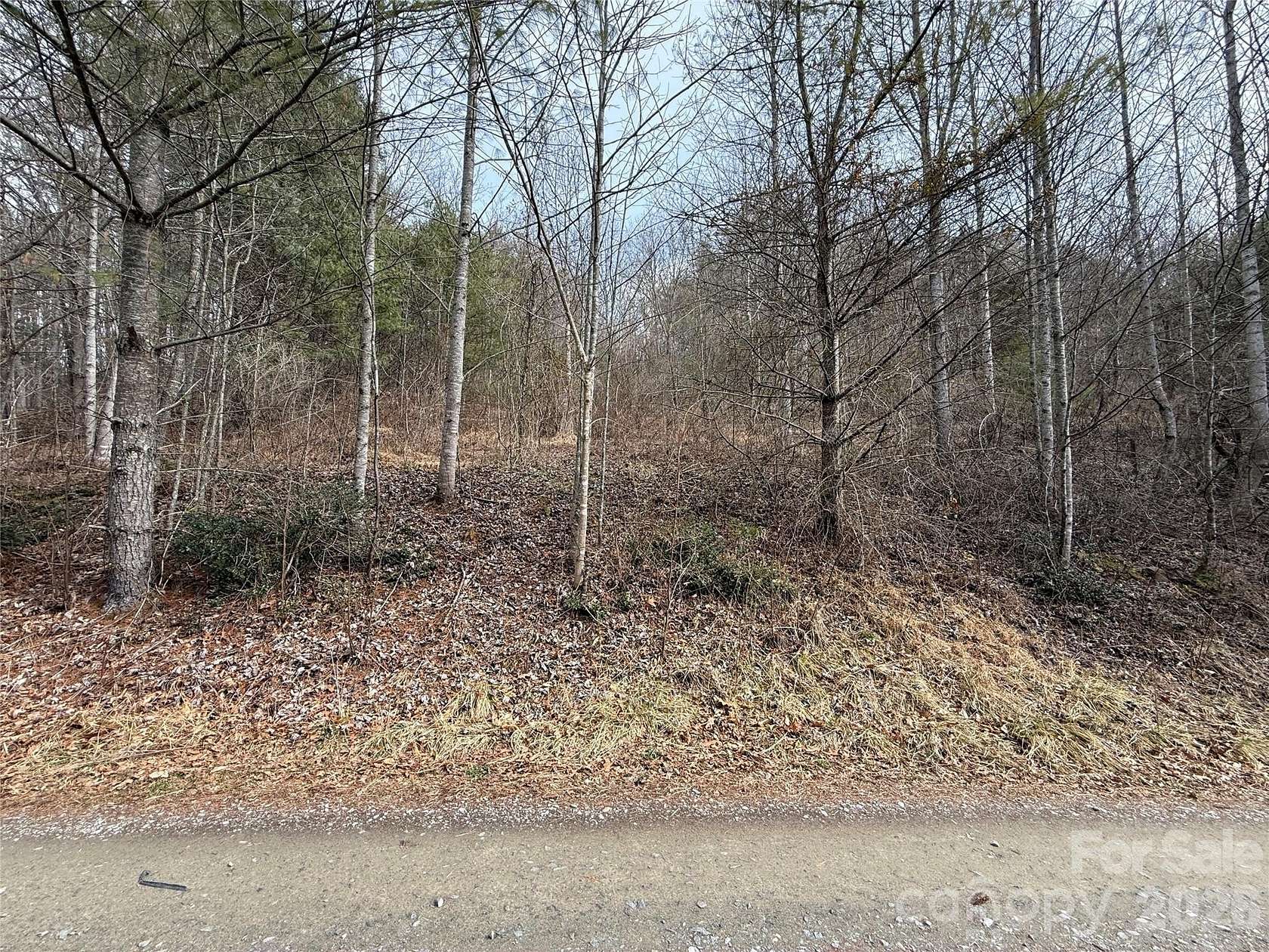 1 Acre of Residential Land for Sale in Waynesville, North Carolina
