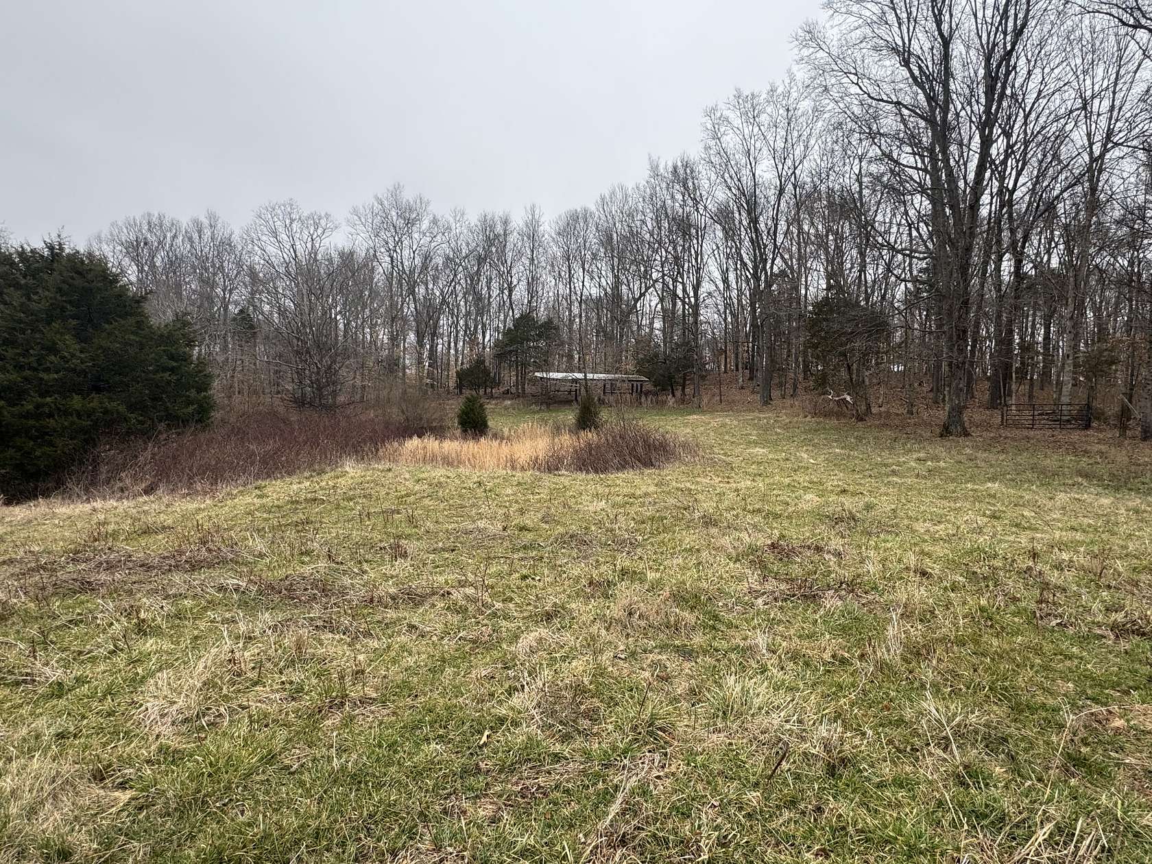 31.8 Acres of Recreational Land for Sale in McEwen, Tennessee