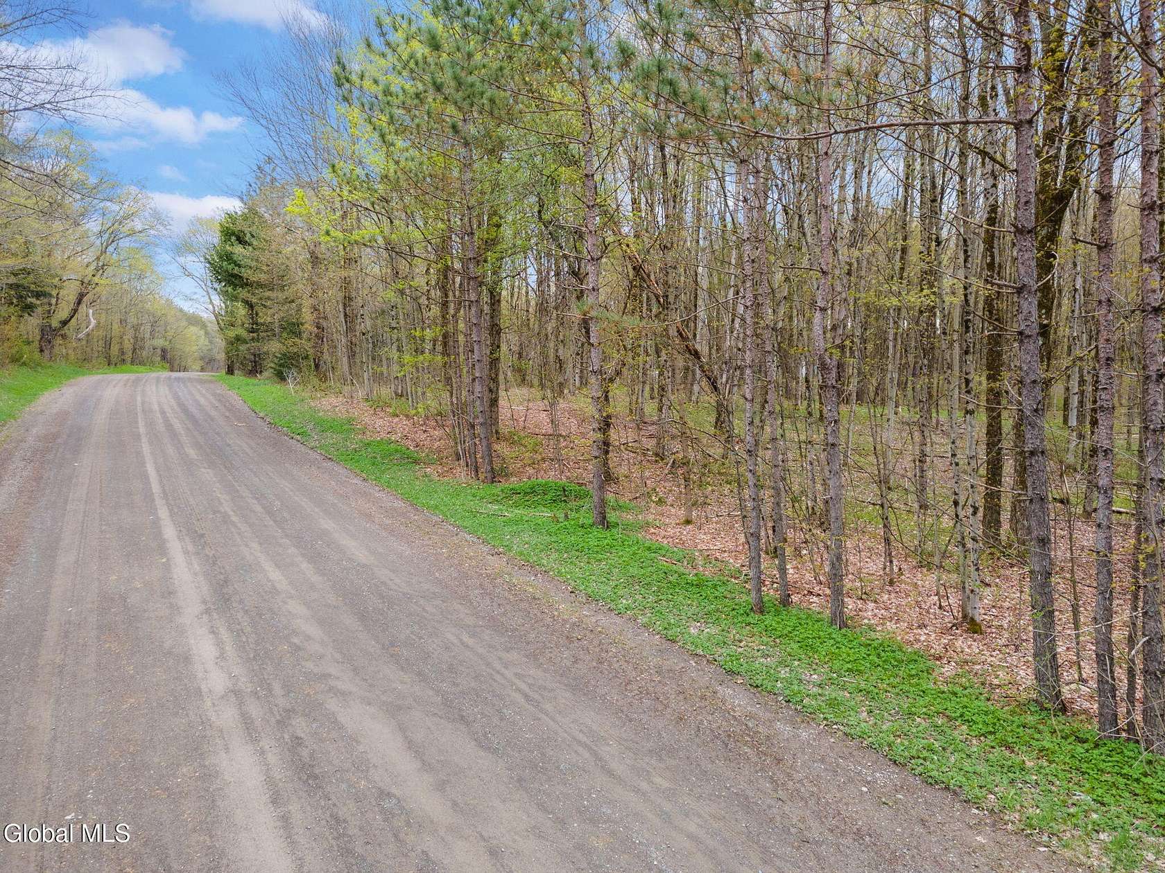 7.53 Acres of Residential Land for Sale in Pitcher, New York