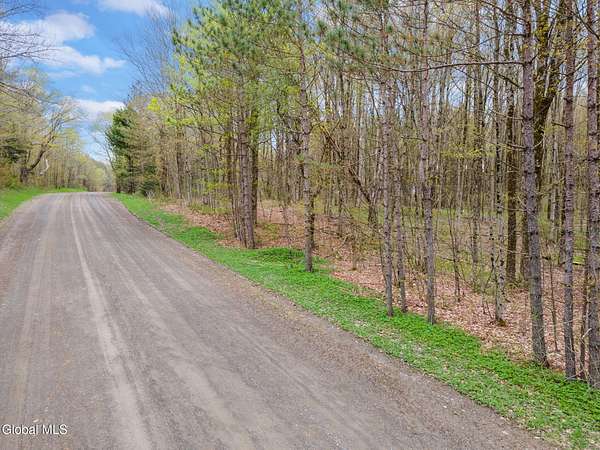 7.53 Acres of Residential Land for Sale in Pitcher, New York