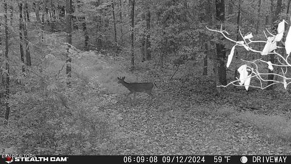 6.57 Acres of Residential Land for Sale in Rockwood, Tennessee