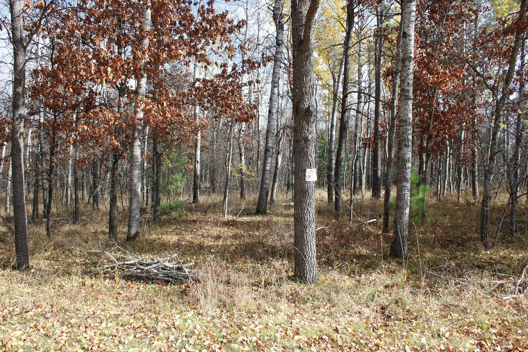 0.43 Acres of Land for Sale in Mio, Michigan