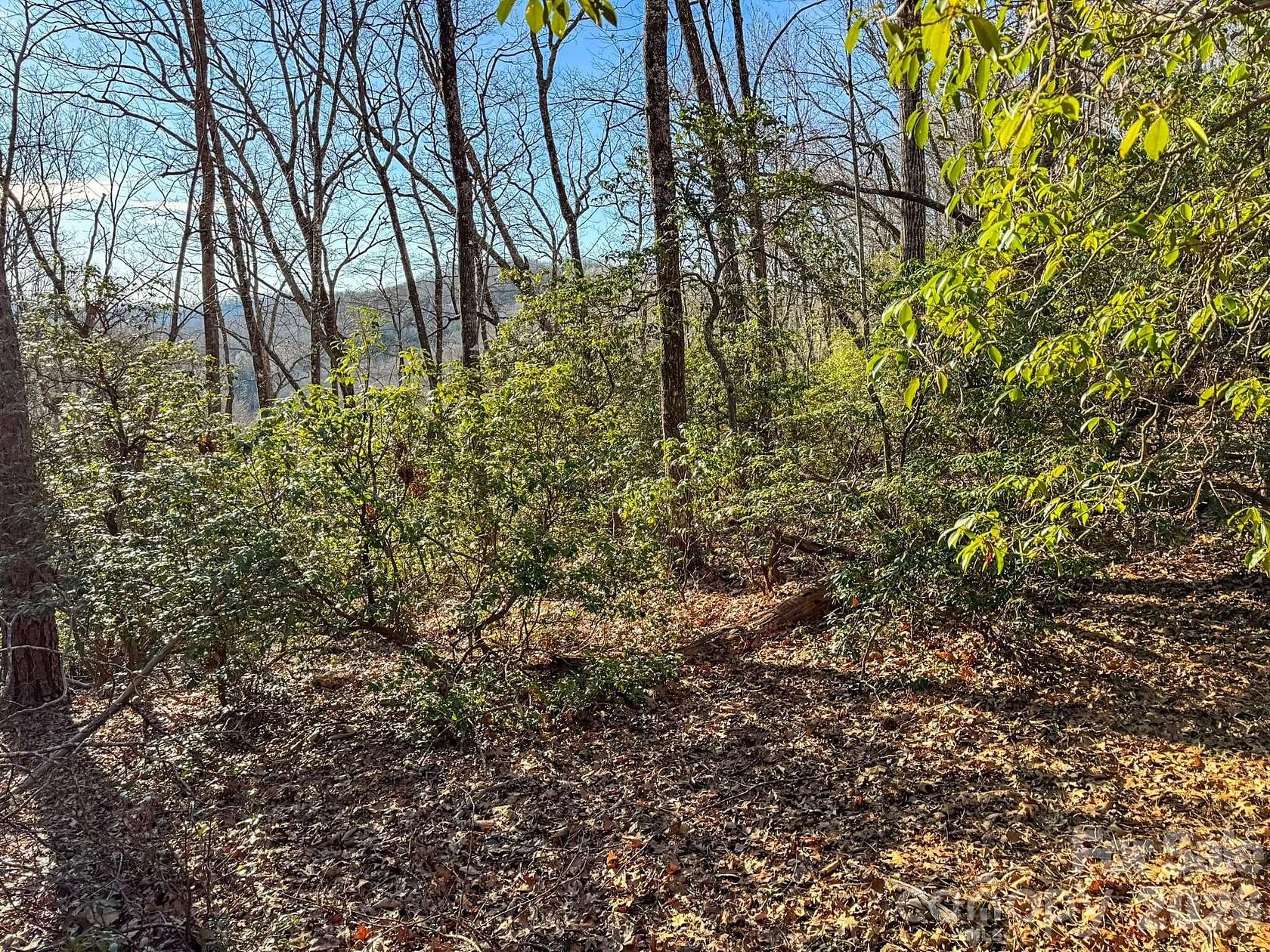 1.15 Acres of Residential Land for Sale in Horse Shoe, North Carolina