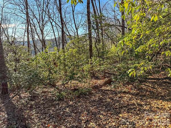 1.15 Acres of Residential Land for Sale in Horse Shoe, North Carolina