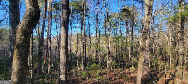 10.6 Acres of Land for Sale in Clayton, Georgia
