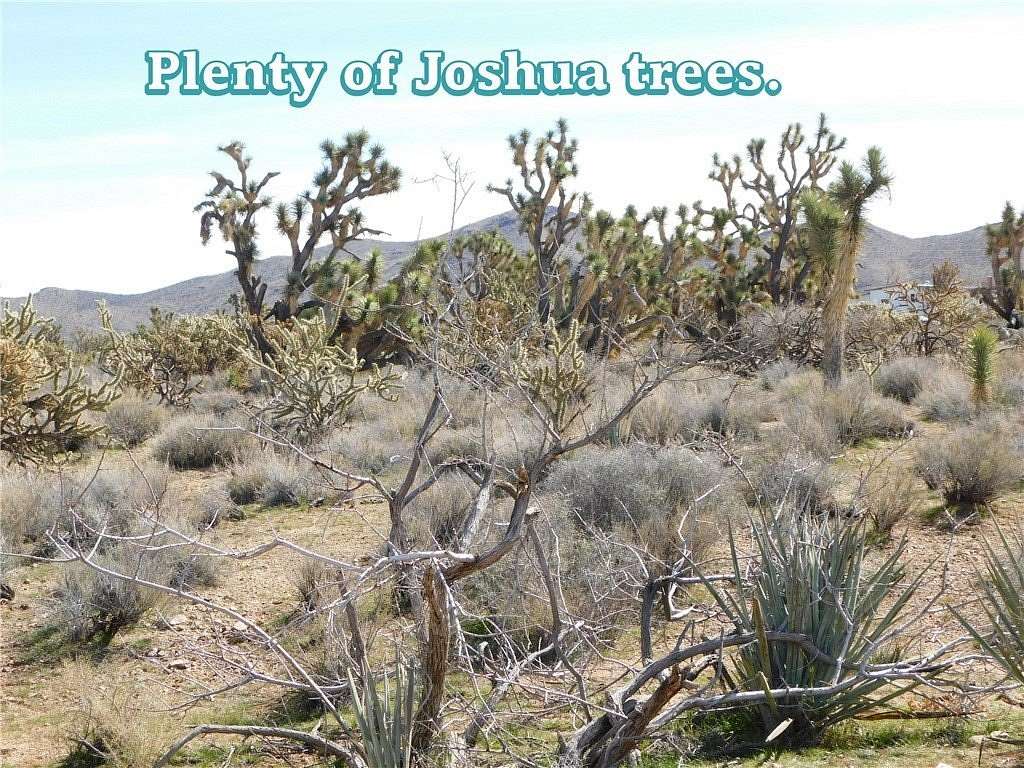 1 Acre of Land for Sale in Dolan Springs, Arizona